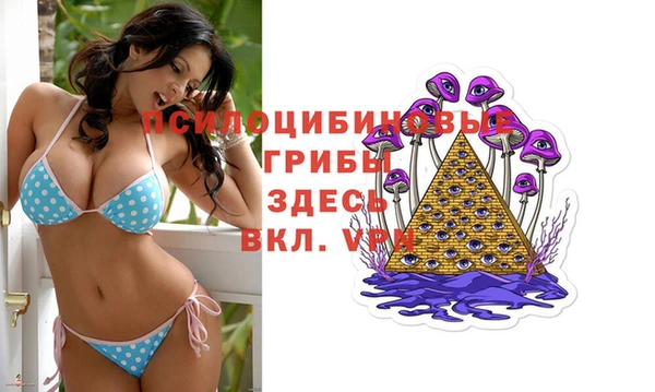 таблы Белоозёрский