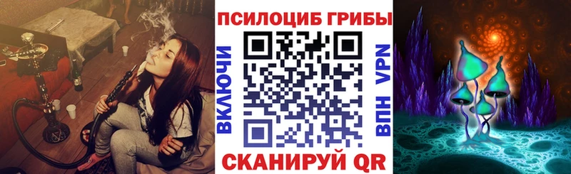 Псилоцибиновые грибы Cubensis  Купить где  Нововоронеж 