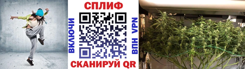 Купить закладки  Нововоронеж  Марихуана White Widow 